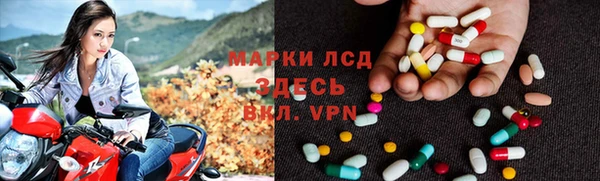 гидропоника Алзамай