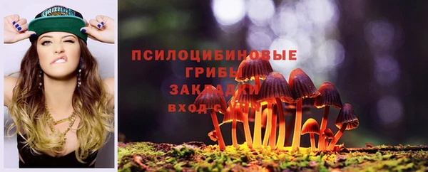 гидропоника Алзамай