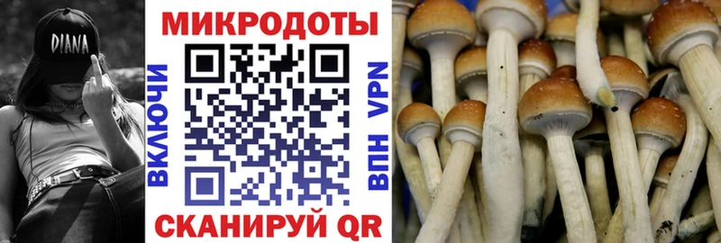 Псилоцибиновые грибы GOLDEN TEACHER Бакал
